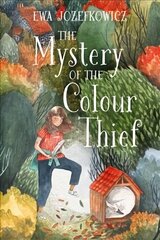 Mystery of the Colour Thief цена и информация | Книги для подростков  | 220.lv