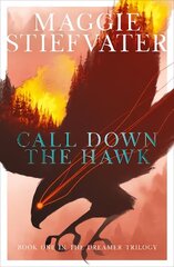 Call Down the Hawk: The Dreamer Trilogy #1 цена и информация | Книги для подростков  | 220.lv