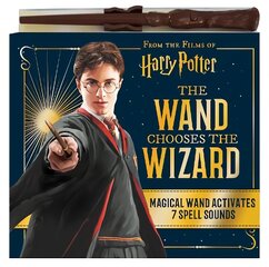 Wand Chooses the Wizard cena un informācija | Grāmatas pusaudžiem un jauniešiem | 220.lv