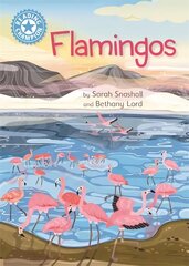 Reading Champion: Flamingos: Independent Reading Non-Fiction Blue 4 cena un informācija | Grāmatas pusaudžiem un jauniešiem | 220.lv