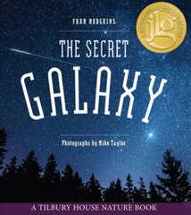 Secret Galaxy цена и информация | Книги для подростков и молодежи | 220.lv