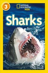 Sharks: Level 3 цена и информация | Книги для подростков и молодежи | 220.lv