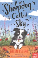 Sheepdog Called Sky цена и информация | Книги для подростков и молодежи | 220.lv