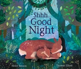 Shhh...Good Night цена и информация | Книги для подростков и молодежи | 220.lv