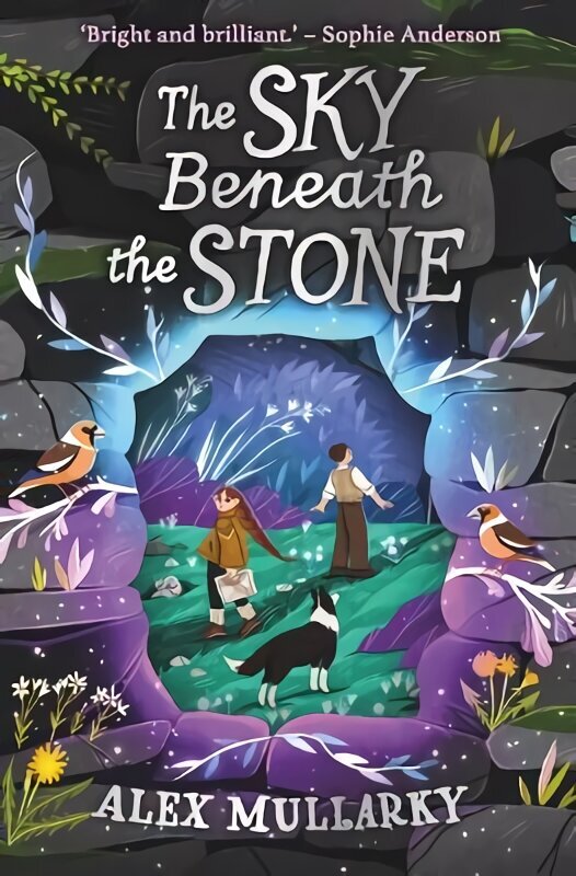 Sky Beneath the Stone cena un informācija | Grāmatas pusaudžiem un jauniešiem | 220.lv