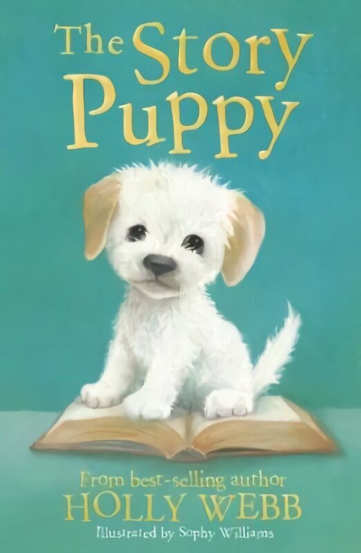 Story Puppy cena un informācija | Grāmatas pusaudžiem un jauniešiem | 220.lv