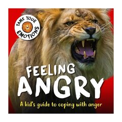Tame Your Emotions: Feeling Angry cena un informācija | Grāmatas pusaudžiem un jauniešiem | 220.lv