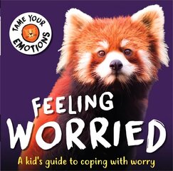 Tame Your Emotions: Feeling Worried cena un informācija | Grāmatas pusaudžiem un jauniešiem | 220.lv
