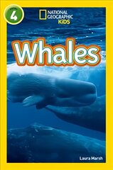 Whales: Level 4 cena un informācija | Grāmatas pusaudžiem un jauniešiem | 220.lv