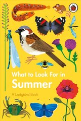 What to Look For in Summer цена и информация | Книги для подростков и молодежи | 220.lv