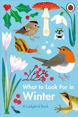 What to Look For in Winter цена и информация | Книги для подростков и молодежи | 220.lv