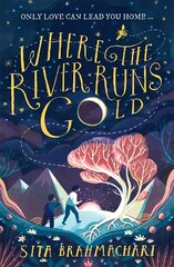 Where the River Runs Gold цена и информация | Книги для подростков и молодежи | 220.lv