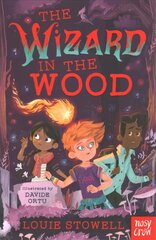 Wizard in the Wood cena un informācija | Grāmatas pusaudžiem un jauniešiem | 220.lv