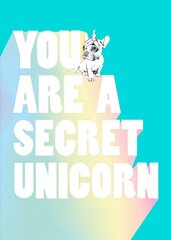 You Are a Secret Unicorn cena un informācija | Grāmatas pusaudžiem un jauniešiem | 220.lv