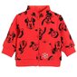 Cool Club jaka zēniem Disney, LCB2502708 cena un informācija | Džemperi, vestes, jaciņas zīdaiņiem | 220.lv
