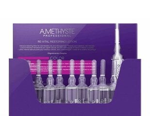 Krāsu aizsargkrēms 300 Ml X 2 Farmavita Amethyste Color Revital Rest (10 x 10 ml) cena un informācija | Kosmētika matu stiprināšanai | 220.lv