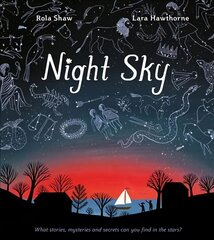 Night Sky цена и информация | Книги по социальным наукам | 220.lv