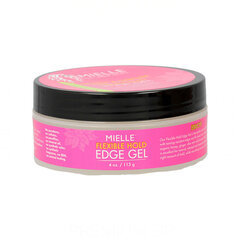 Modelējošs gels Mielle Honey & Ginger (113 ml) цена и информация | Средства для укладки волос | 220.lv