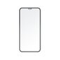 Matēts aizsargstikls iPhone XR / 11 no 5D Full Glue cena un informācija | Ekrāna aizsargstikli | 220.lv