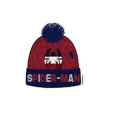 Шапка Spiderman цена и информация | Шапки, перчатки, шарфы для мальчиков | 220.lv