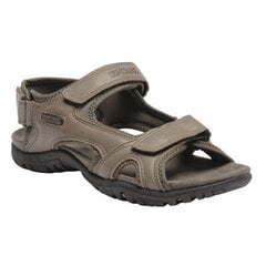 Vīriešu sandales Haris Sandals 5020436668174 cena un informācija | Regatta Zīdaiņu apģērbs | 220.lv