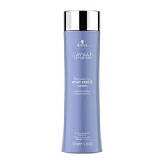 Atjaunojošs šampūns - Alterna Caviar Restructuring Bond Repair, 250 ml цена и информация | Шампуни | 220.lv