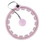 Vingrošanas aplis HHW09 PINK HULA HOOP WITH WEIGHT + COUNTER HMS цена и информация | Vingrošanas riņķi un nūjas | 220.lv