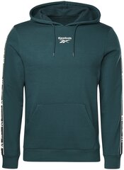 Мужской джемпер Reebok Ri TAPE Oth Hoodie Green HJ7840 HJ7840/M цена и информация | Мужские толстовки | 220.lv