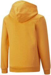 Джемпер Puma Ess+ 2Col Big Logo 586987 39/164, желтый цена и информация | Свитеры, жилетки, пиджаки для мальчиков | 220.lv