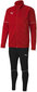 Puma Sporta Tērps Teamgoal Tracksuit Black Red 656809 01 656809 01/176 цена и информация | Komplekti zēniem | 220.lv