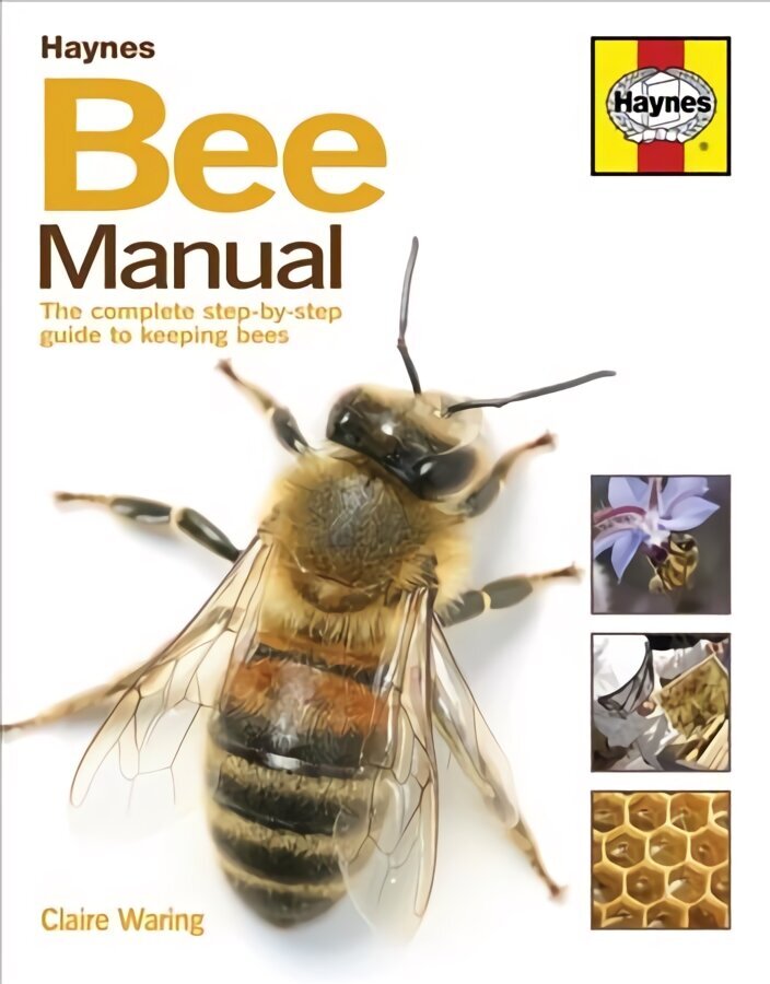 Bee Manual: The complete step-by-step guide to keeping bees Reprint cena un informācija | Sociālo zinātņu grāmatas | 220.lv