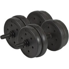 Svaru komplekts - Enero Fit, 20 kg, 2x10 kg cena un informācija | Hanteles, svaru stieņi un diski | 220.lv