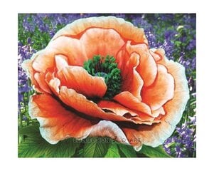 Алмазная мозаика 17x21 cm.  "Bright poppy" цена и информация | Алмазная мозаика | 220.lv