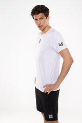 Vīriešu T-krekls Basic Tee cena un informācija | Sporta apģērbs vīriešiem | 220.lv