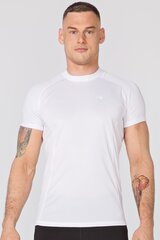 Vīriešu termoaktīvais T krekls Fury цена и информация | Мужская спортивная одежда | 220.lv