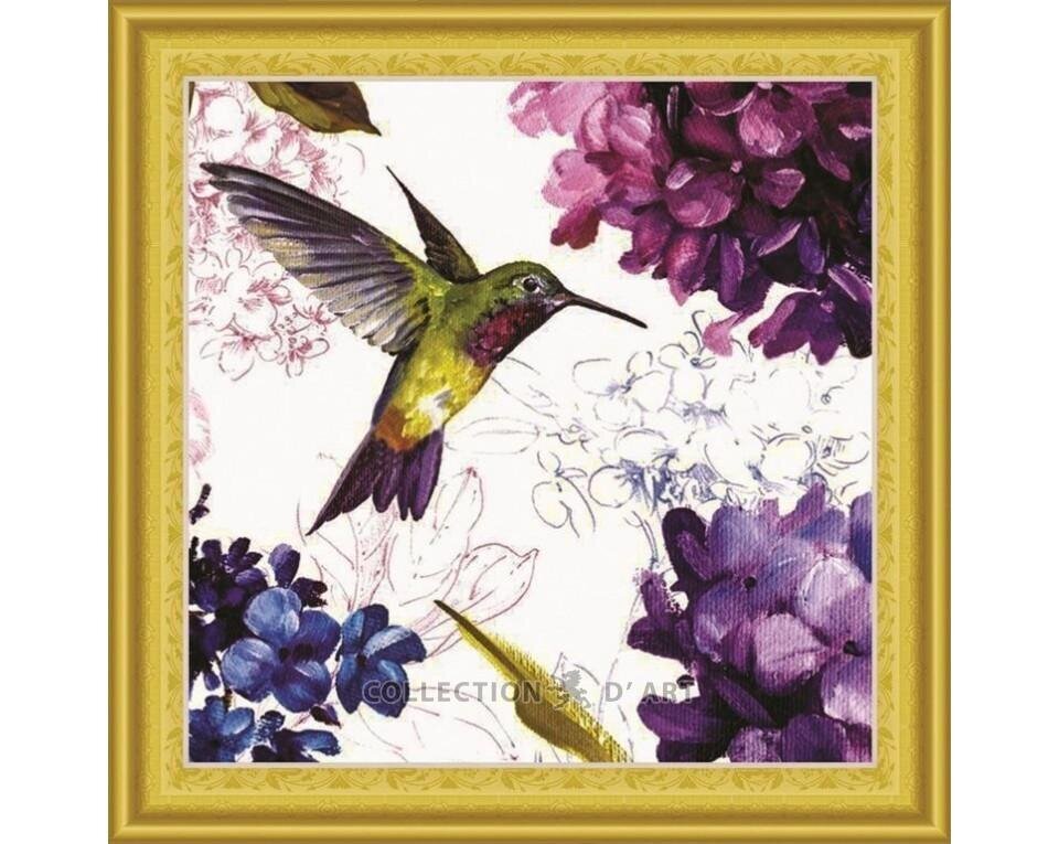 Gleznas no dimanta mozaīkas 30x30 cm. "Kolibri" cena un informācija | Dimantu mozaīkas | 220.lv