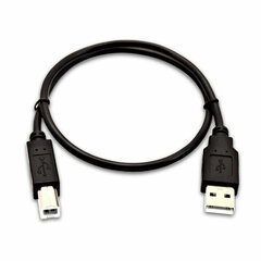 V7 V7USB2AB-50C-1E cena un informācija | Savienotājkabeļi | 220.lv