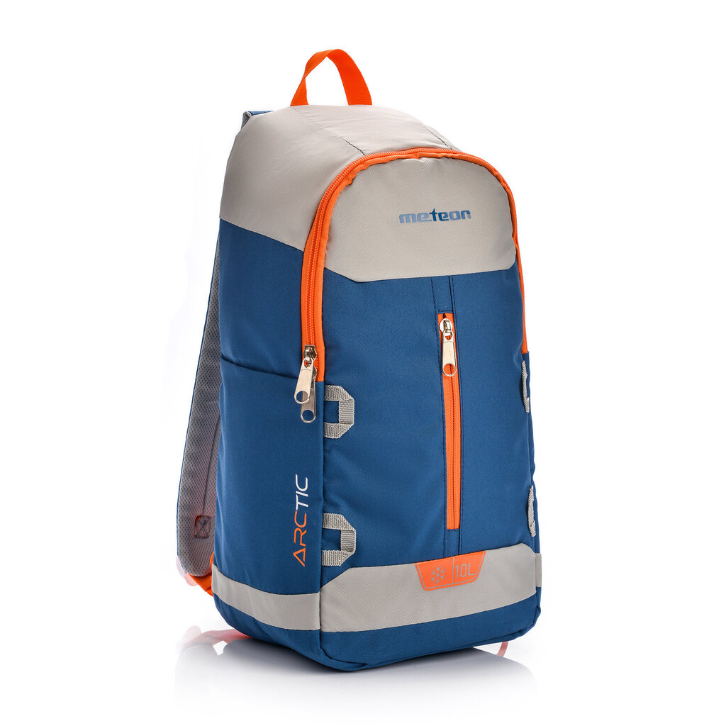 Aukstumsoma METEOR ARCTIC 10 L blue/grey цена и информация | Aukstuma somas, aukstuma kastes un aukstuma elementi | 220.lv