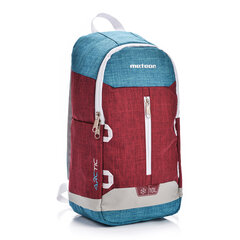 Aukstumsoma METEOR ARCTIC 10 L blue/red цена и информация | Сумки-холодильники | 220.lv