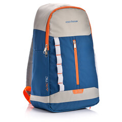 Aukstumsoma METEOR ARCTIC 20 L blue/grey цена и информация | Сумки-холодильники | 220.lv