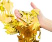 Dekoratīvs ornaments - aizkars Zvaigznes, 100 x 200 cm (krāsa: metālisks zelts) SH-KGMZ cena un informācija | Svētku dekorācijas | 220.lv