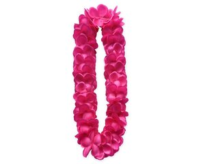 Havaju krelles. pink (DJ-NHSR) 6274 cena un informācija | Karnevāla kostīmi, maskas un parūkas | 220.lv