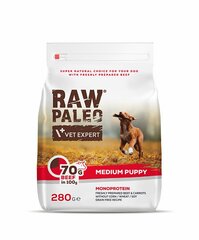 Raw Paleo sausa, bezgraudu barība vidējo šķirņu kucēniem Puppy Medium ar liellopu gaļu, 280 g cena un informācija | Sausā barība suņiem | 220.lv