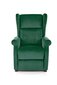 Krēsls Halmar Agustin 2, zaļš cena un informācija | Atpūtas krēsli | 220.lv