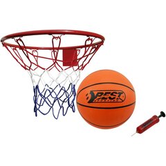 Basketbola grozs ar bumbu un sūkni, 45 cm cena un informācija | Citi basketbola aksesuāri | 220.lv