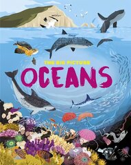 Big Picture: Oceans цена и информация | Книги для подростков и молодежи | 220.lv