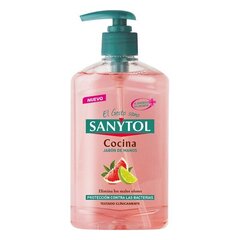 Roku ziepes ar dozatoru Antibacterias Kitchen Sanytol (250 ml) cena un informācija | Ziepes | 220.lv