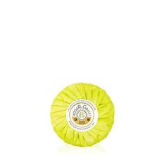 Ziepes Roger & Gallet (100 g) cena un informācija | Ziepes | 220.lv