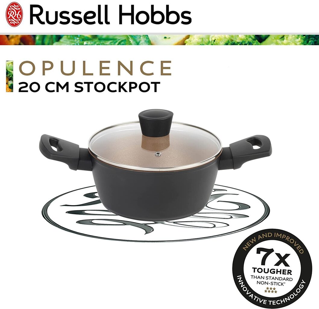 Russell Hobbs RH01669BEU7 cena un informācija | Katli, tvaika katli | 220.lv