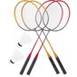 Badmintona komplekts cena un informācija | Badmintons | 220.lv